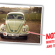 Image for article titled Ewan McGregor Wants Help Finding His Old Beetle
